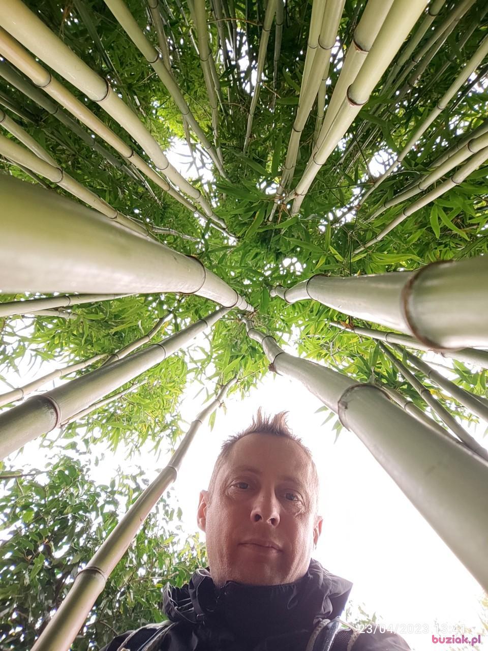 Tomek, Male, 45, Broxbourne, Wielka Brytania, Photo: 7