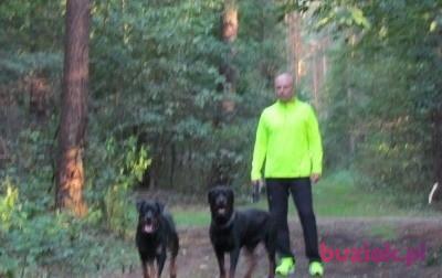 Wojtek, Male, 53, Stade, Niemcy, Photo: 2