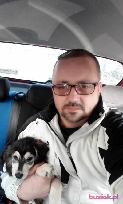 Wojtek, Male, 51, Bielsko-Biała, Polska, Photo: 3
