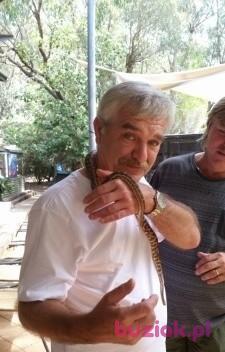 Zbyszek, Male, 67, Gdynia, Polska, Photo: 3