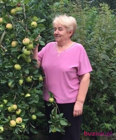Danuta, Female, 72, Białogard, Polska, Photo: 2