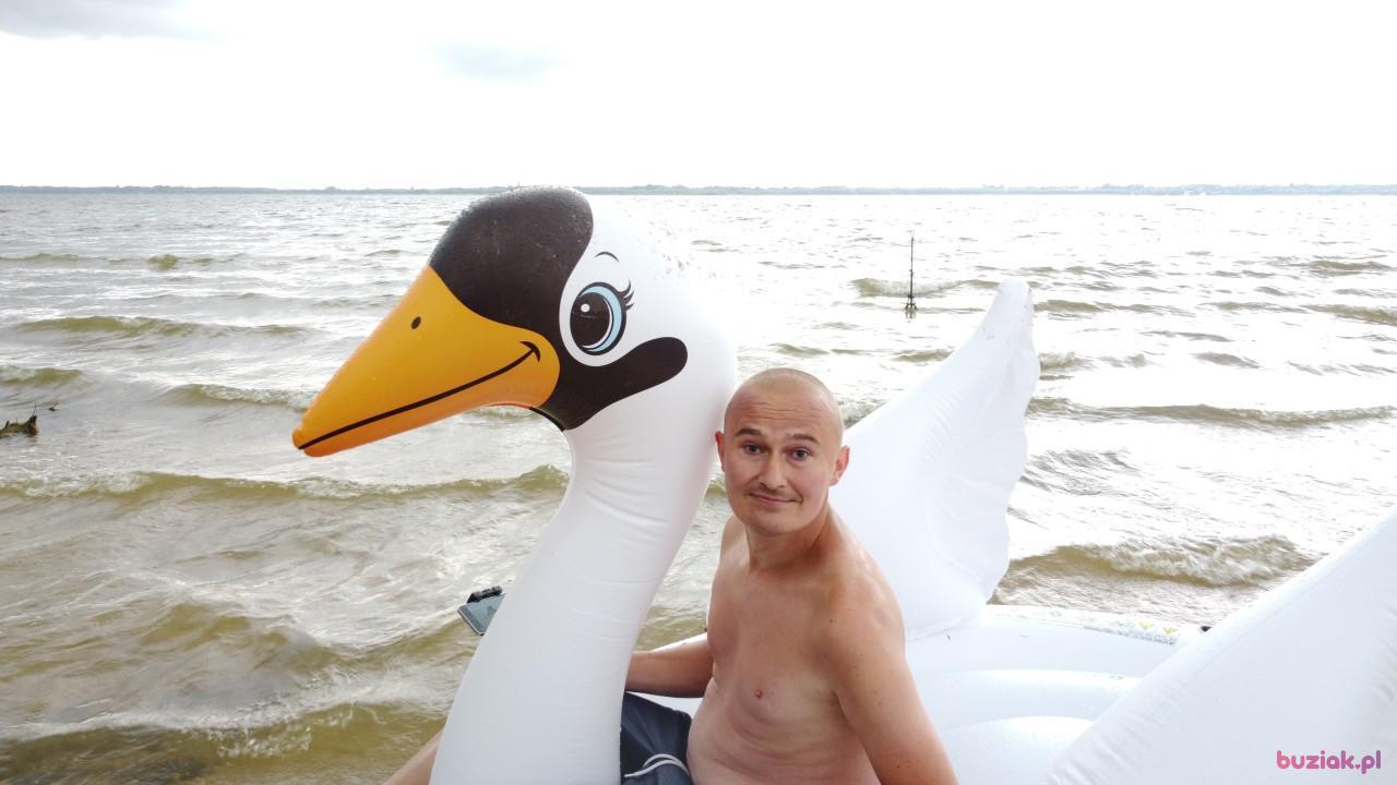 Michał, Mężczyzna, 37, Zgierz, Polska, Zdjęcie: 532