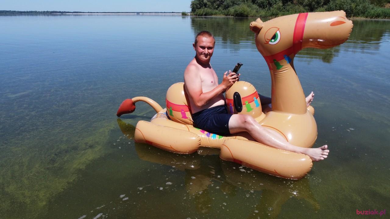 Michał, Mężczyzna, 37, Zgierz, Polska, Zdjęcie: 492