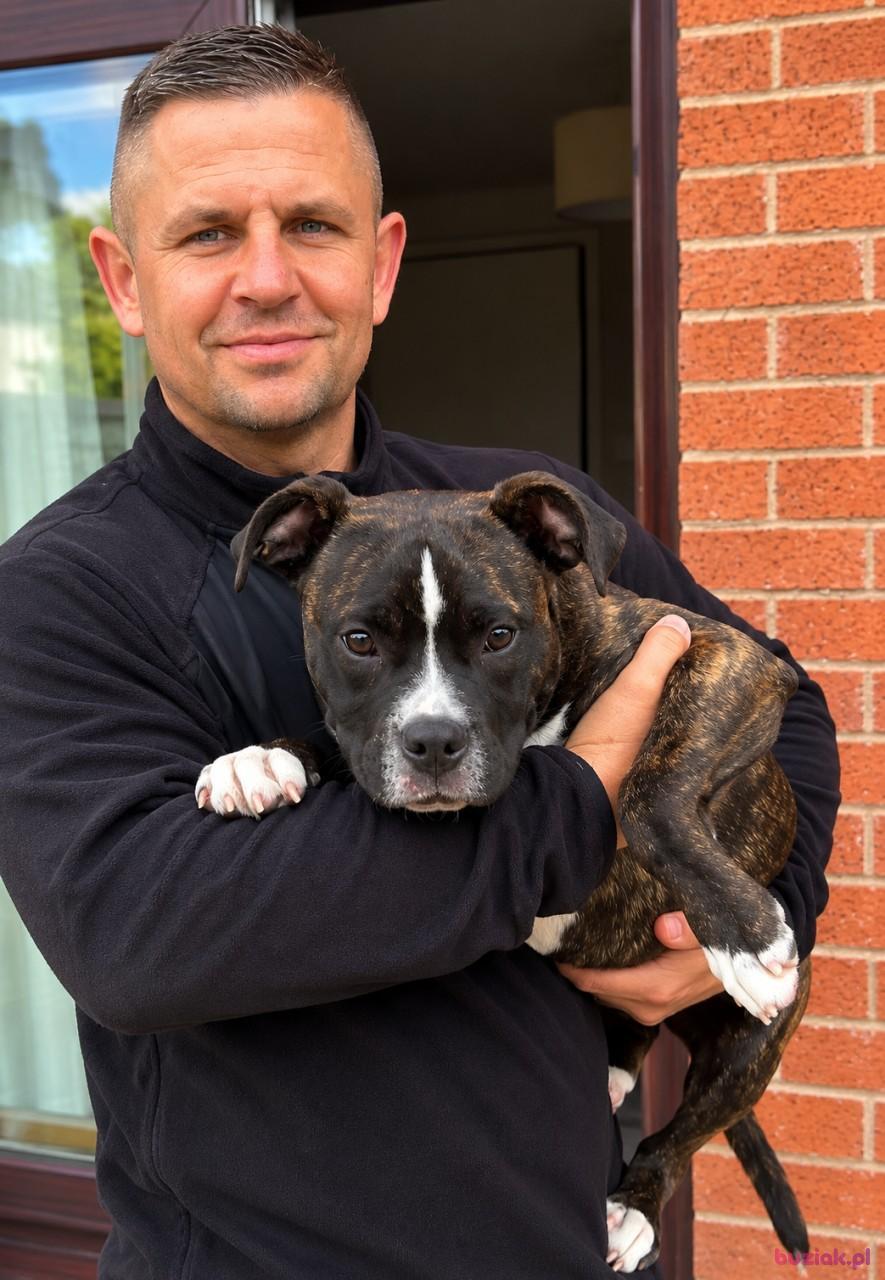 Robert, Male, 42, Chorley, Wielka Brytania, Photo: 1