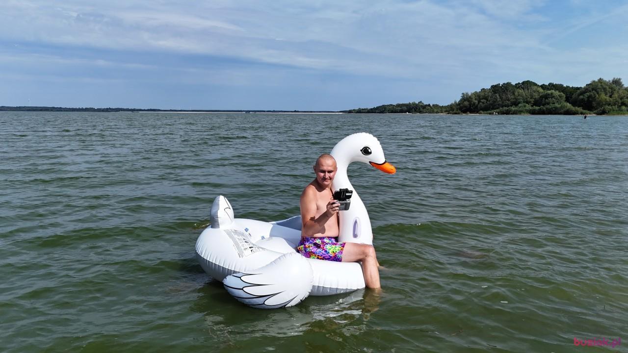 Michał, Mężczyzna, 37, Zgierz, Polska, Zdjęcie: 767