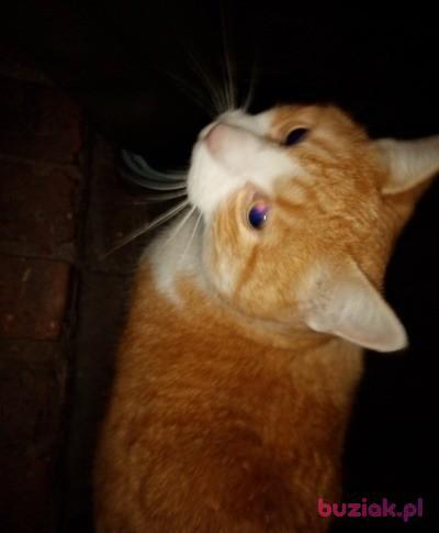 Lukasz Stanislaw, Male, 46, Międzyrzecz, Polska, Photo: 6