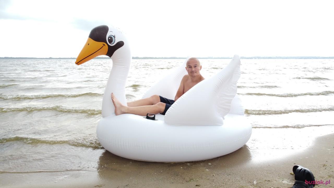 Michał, Mężczyzna, 37, Zgierz, Polska, Zdjęcie: 539