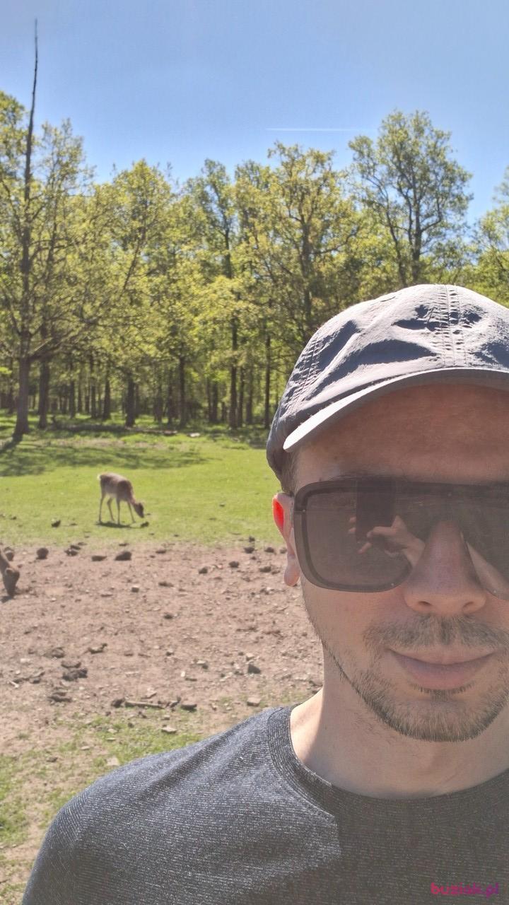 Hubert, Male, 36, Siedlce, Polska, Photo: 4