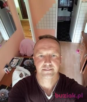 ROBERT, Mężczyzna, 41, Kamienna Góra, Polska, Zdjęcie: 4