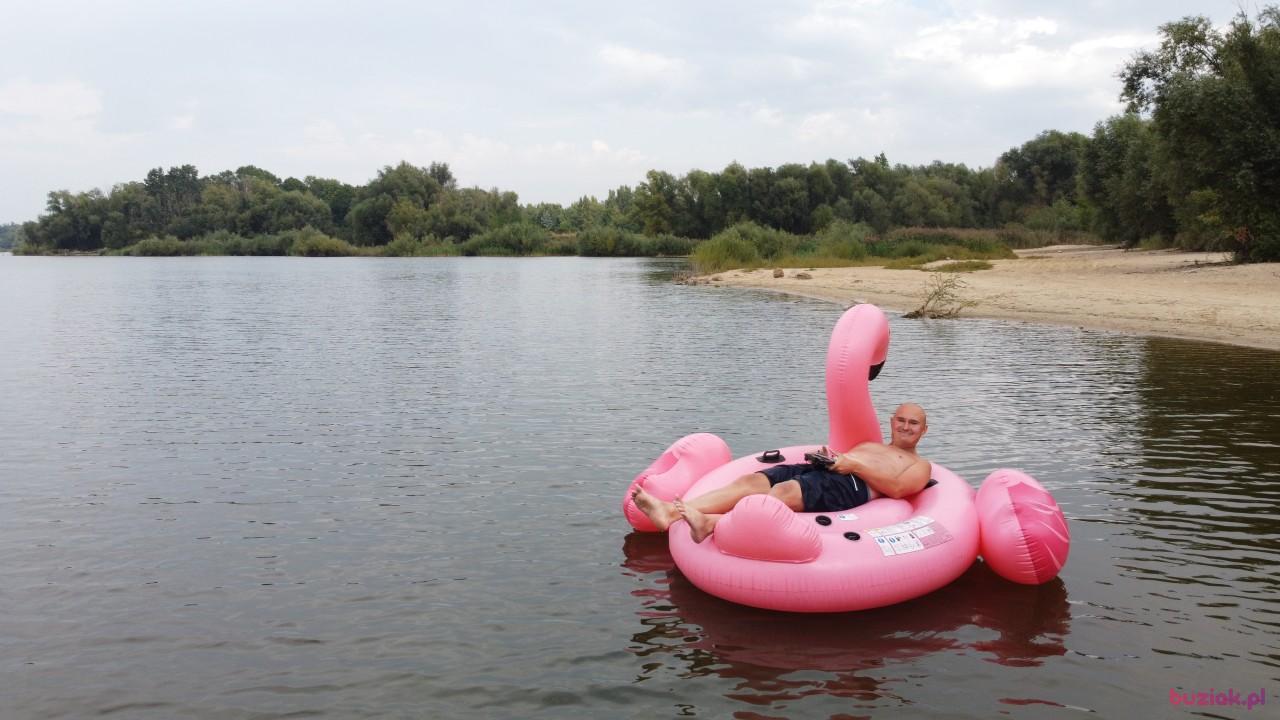 Michał, Mężczyzna, 37, Zgierz, Polska, Zdjęcie: 695