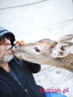 Marek, Male, 62, Myszków, Polska, Photo: 1