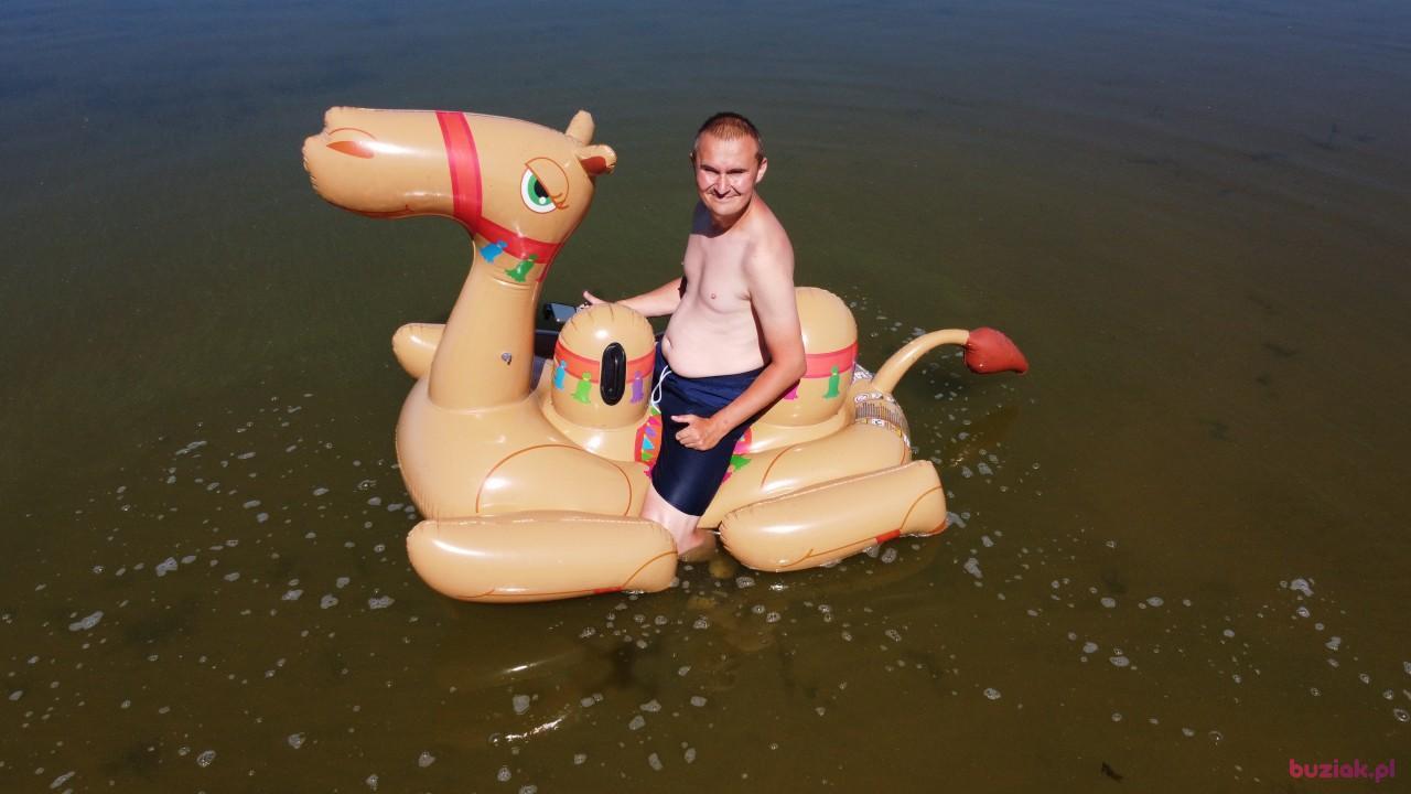 Michał, Mężczyzna, 37, Zgierz, Polska, Zdjęcie: 465