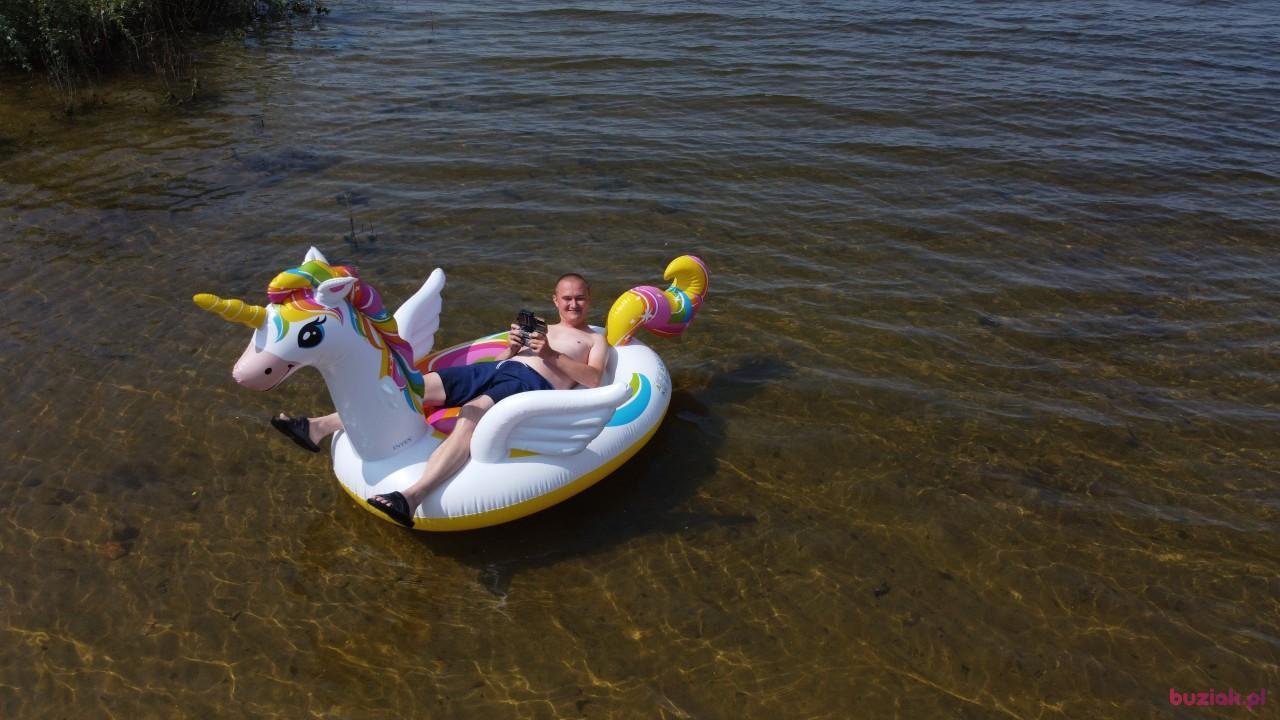 Michał, Mężczyzna, 37, Zgierz, Polska, Zdjęcie: 432