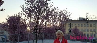 Elzbieta, Female, 63, Szczecin, Polska, Photo: 2