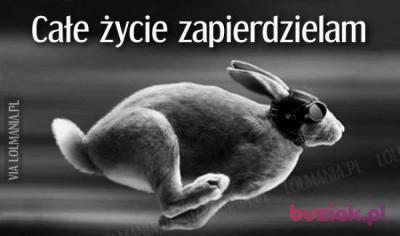 Łukasz , Male, 46, Poznań, Polska, Photo: 2