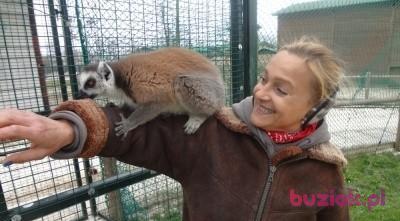 wiktoria, Kobieta, 66, Kraków, Polska, Zdjęcie: 5
