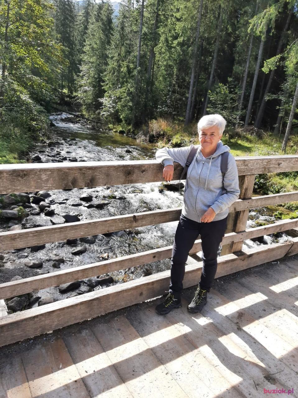 Krystyna, Kobieta, 67, Bytom, Polska, Zdjęcie: 2