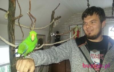 Daniel, Male, 31, Niemcy, Photo: 3