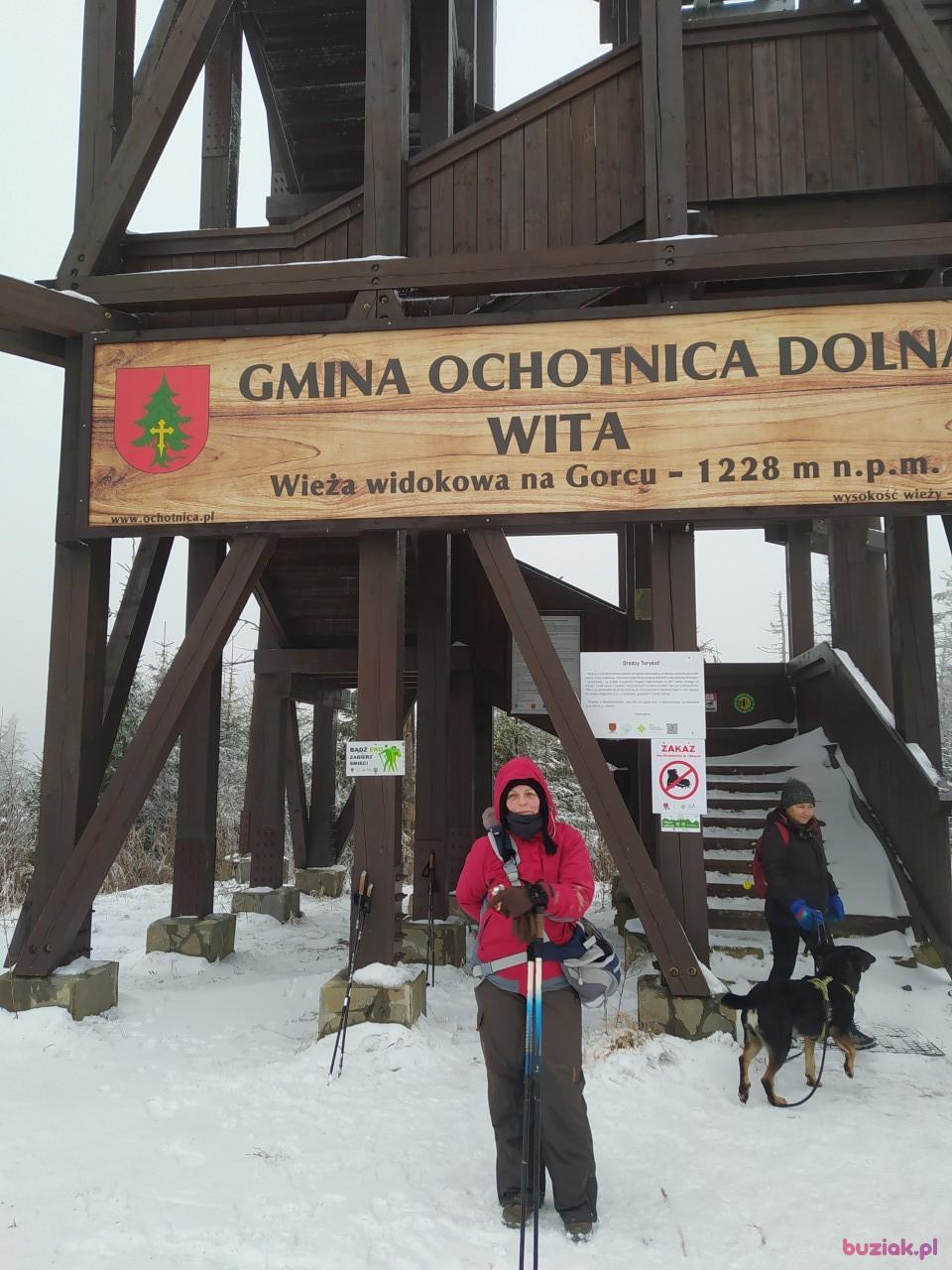 Stanisława, Female, 65, Żory, Polska, Photo: 14