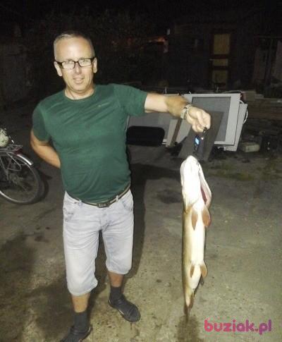 arek, Male, 54, Stargard Szczeciński, Polska, Photo: 2