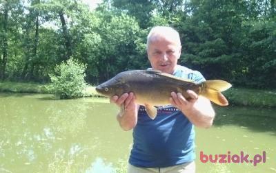 Janek, Male, 65, Chmielnik, Polska, Photo: 4