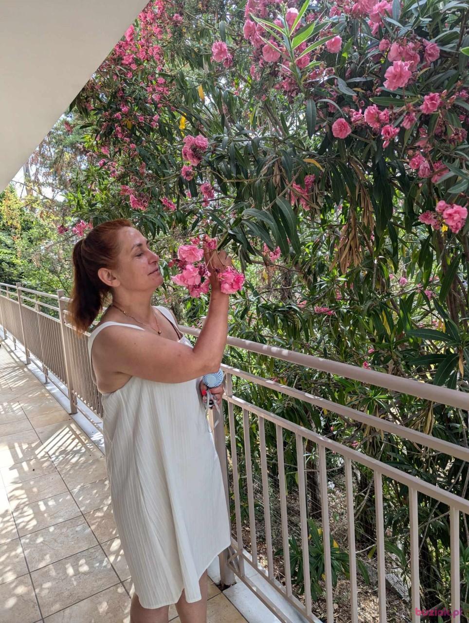 Joanna, Kobieta, 54, Sutton in Ashfield, Wielka Brytania, Zdjęcie: 6