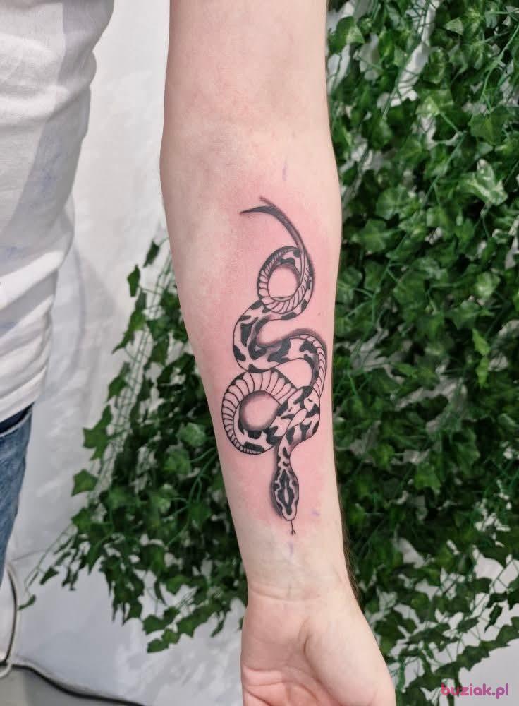 Kamil, Mężczyzna, 38, Katowice, Polska, Zdjęcie: 5