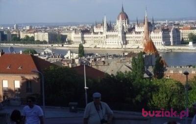 Zbyszek, Male, 67, Łódź, Polska, Photo: 8