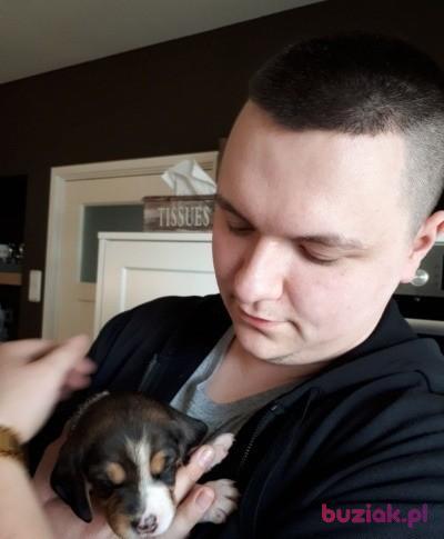 Lukasz, Mężczyzna, 31, Holandia, Zdjęcie: 3