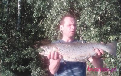 Artur, Male, 53, Bytom, Polska, Photo: 2