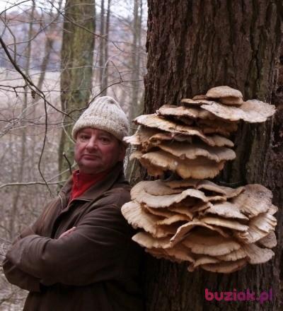 Wiesiu, Mężczyzna, 65, Łódź, Polska, Zdjęcie: 14
