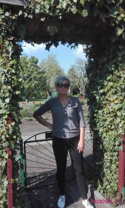 Jolanta , Kobieta, 67, Inowrocław, Polska, Zdjęcie: 2