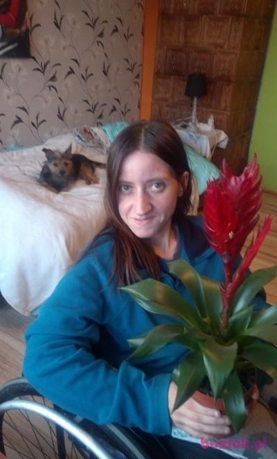 ania, Kobieta, 36, Polska, Zdjęcie: 3
