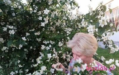 Dorota, Female, 59, Strzelce Krajeńskie, Polska, Photo: 6