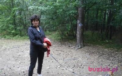 Dorota, Kobieta, 58, Kraków, Polska, Zdjęcie: 2