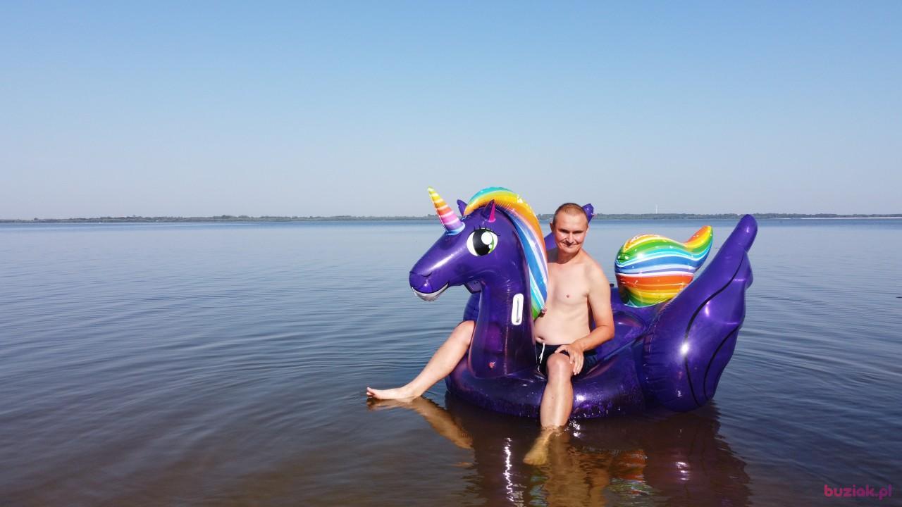 Michał, Mężczyzna, 37, Zgierz, Polska, Zdjęcie: 592