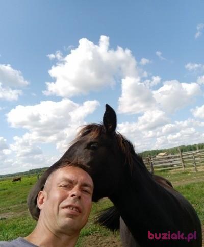 adam, Male, 48, Bielsk Podlaski, Polska, Photo: 6
