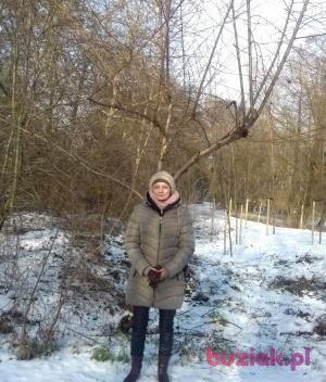 Elżbieta, Female, 70, Luboń, Polska, Photo: 1