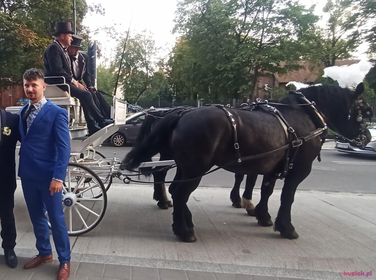 Dawid, Mężczyzna, 34, Rotterdam, Holandia, Zdjęcie: 2