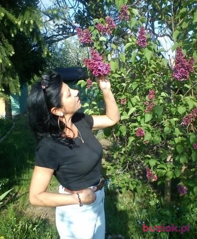 Katarzyna, Kobieta, 56, Nowy Tomyśl, Polska, Zdjęcie: 2