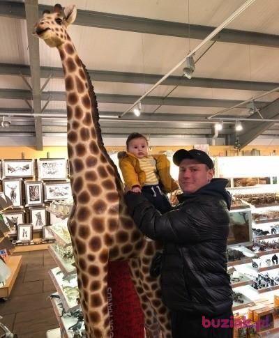 Kamil, Male, 32, Rotherham, Wielka Brytania, Photo: 2