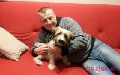 Krzysztof, Mężczyzna, 52, Katowice, Polska, Zdjęcie: 10