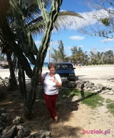 Romualda, Female, 75, Sosnowiec, Polska, Photo: 3