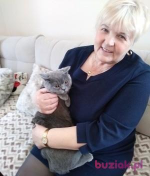 Teresa, Female, 71, Wschowa, Polska, Photo: 2