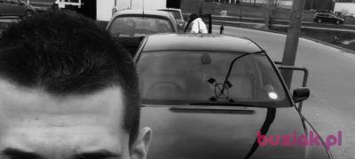 Filip, Mężczyzna, 33, Szczecin, Polska, Zdjęcie: 8