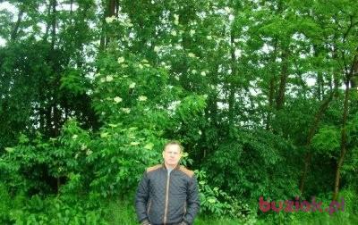 Ryszard, Mężczyzna, 51, Kożuchów, Polska, Zdjęcie: 2