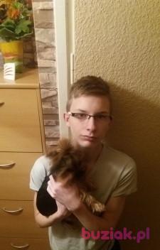 Darek, Male, 26, Gorzów Wielkopolski, Polska, Photo: 3