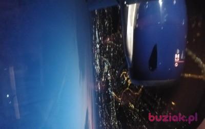 Dawid, Male, 45, Westminster, Wielka Brytania, Photo: 1