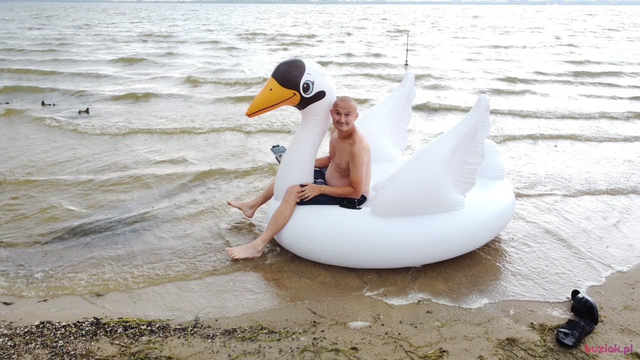 Michał, Mężczyzna, 37, Zgierz, Polska, Zdjęcie: 522