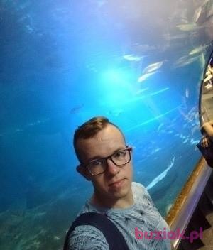 Krystian, Mężczyzna, 33, Lędziny, Polska, Zdjęcie: 7